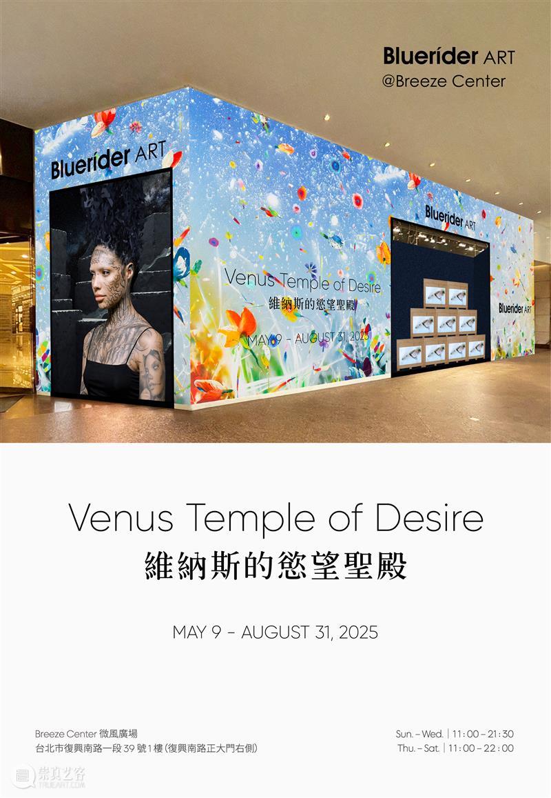 蓝骑士台北｜王薇薇 Elsa Wang 专访  时尚与艺术的紧密连结 非池中艺术 崇真艺客