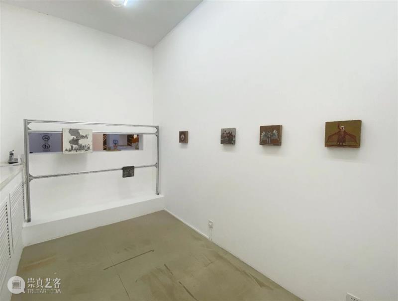 展览现场｜刘宏亮个展“爬虫先生又在说让人听不懂的话了” 崇真艺客