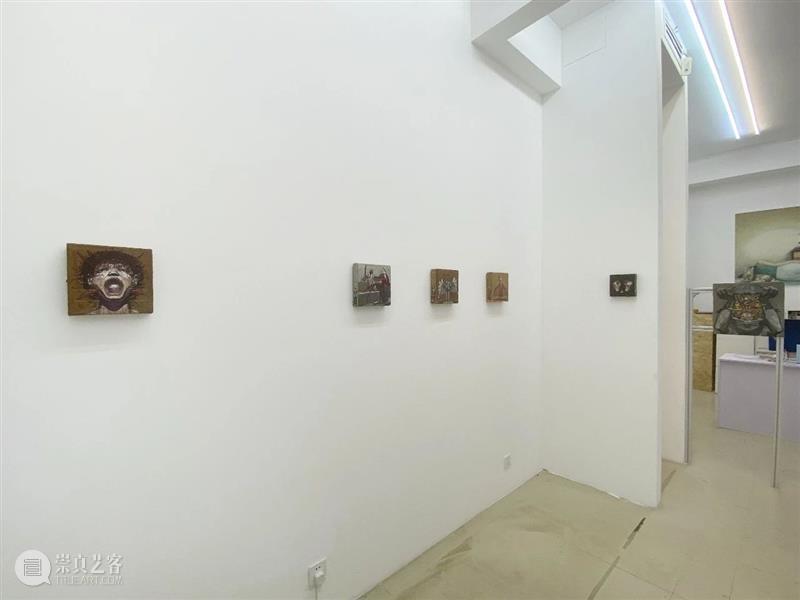 展览现场｜刘宏亮个展“爬虫先生又在说让人听不懂的话了” 崇真艺客