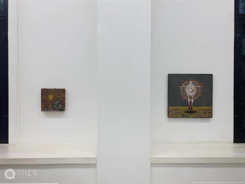 展览现场｜刘宏亮个展“爬虫先生又在说让人听不懂的话了” 崇真艺客