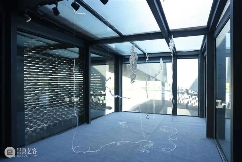 对谈回顾|根系生长术:深层景观的感知编写 崇真艺客