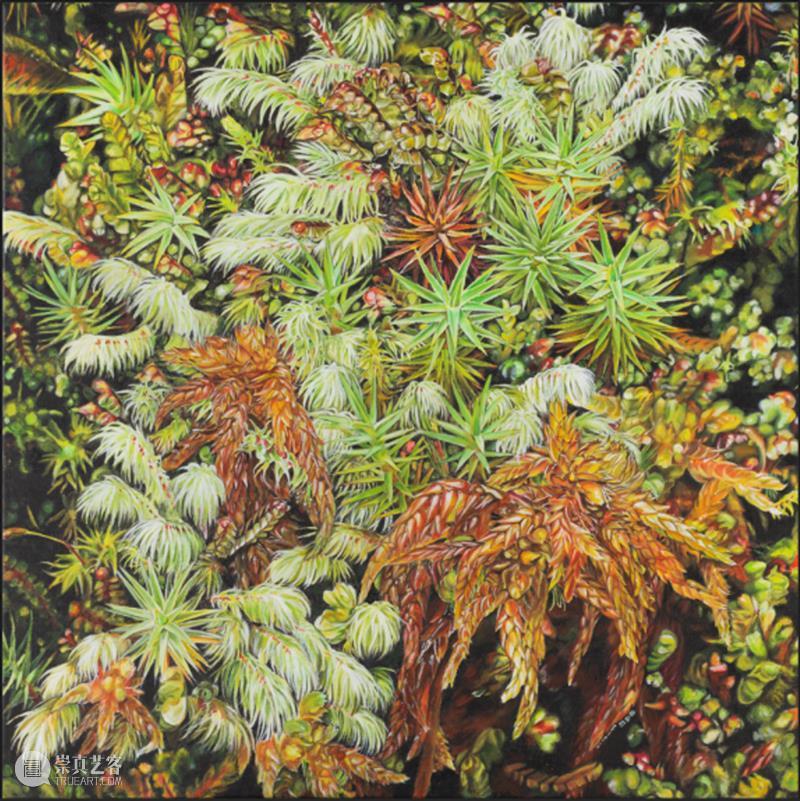 展览预告 | 双面镜——植物的艺术之美与科学之真 崇真艺客