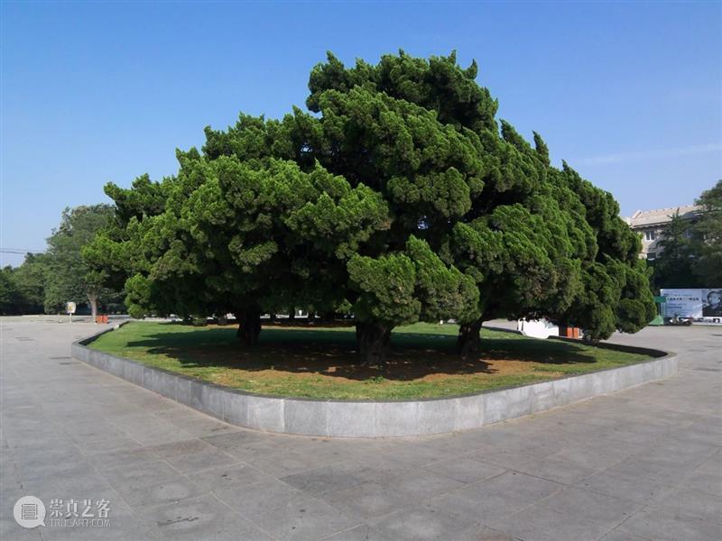 特别项目 | 庄辉参加大连旅顺博物馆“在旅顺” 当代艺术项目 崇真艺客