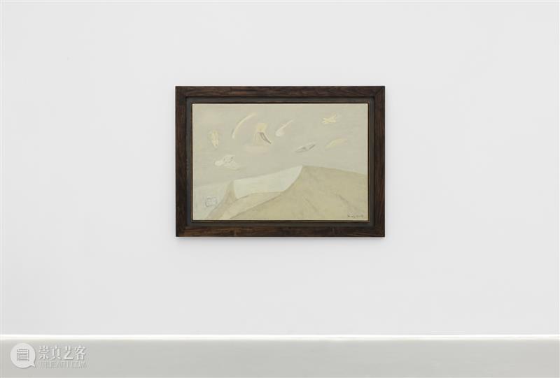2号馆新展|在“根茎蔓延”中开辟感知的路径 崇真艺客