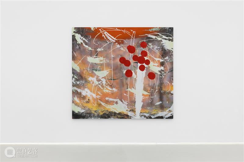 2号馆新展|在“根茎蔓延”中开辟感知的路径 崇真艺客
