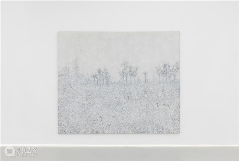 2号馆新展|在“根茎蔓延”中开辟感知的路径 崇真艺客