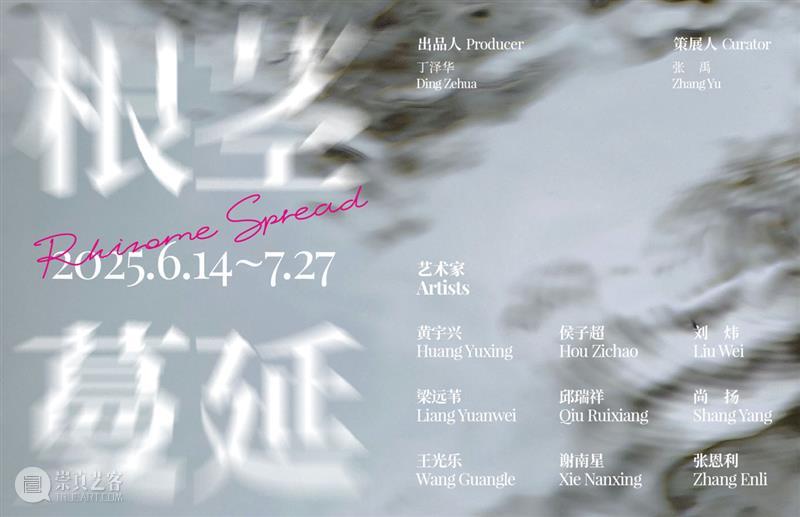 2号馆新展｜在“根茎蔓延”中开辟感知的路径 崇真艺客