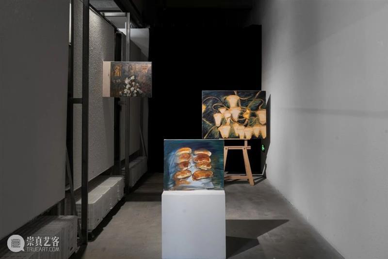 开幕回顾|凭栏辩物:肉身炼金术中的符号抵抗诗学 崇真艺客