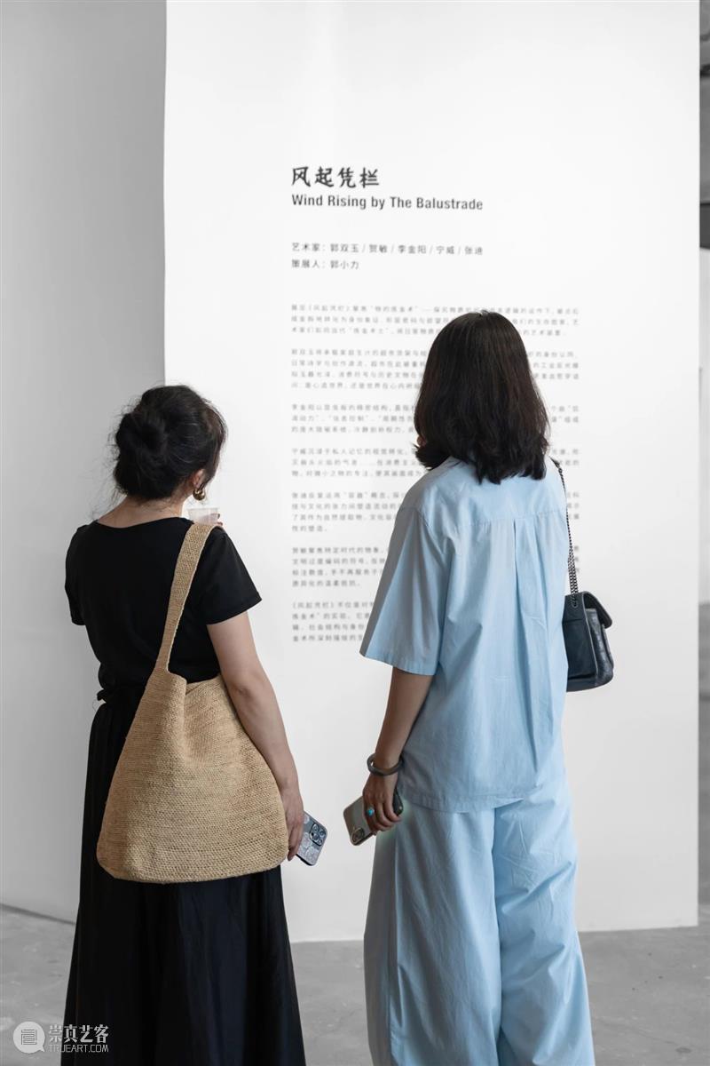 开幕回顾|凭栏辩物:肉身炼金术中的符号抵抗诗学 崇真艺客