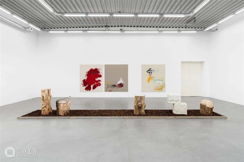 展览现场｜珍妮·布罗辛斯基（Jenny Brosinski）「在我的云中（没有鸟）」@ 阿尔敏·莱希 - 布鲁塞尔 崇真艺客
