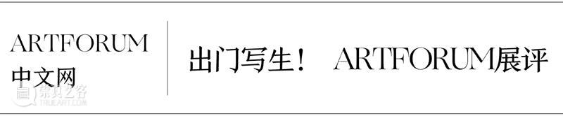 展览｜“出门写生！”&“杨沛铿：软螺”精选媒体报道 崇真艺客