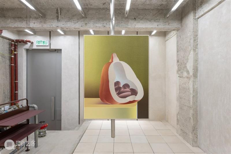 纽约新展预告丨After H(ours)丨7月9日开幕 崇真艺客