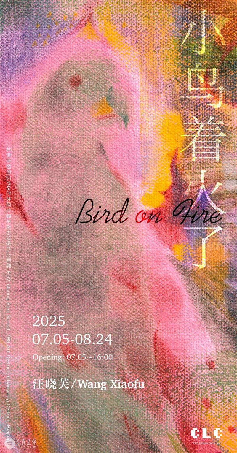 CLC Gallery Venture | Wang Xiaofu: Bird on Fire 崇真艺客