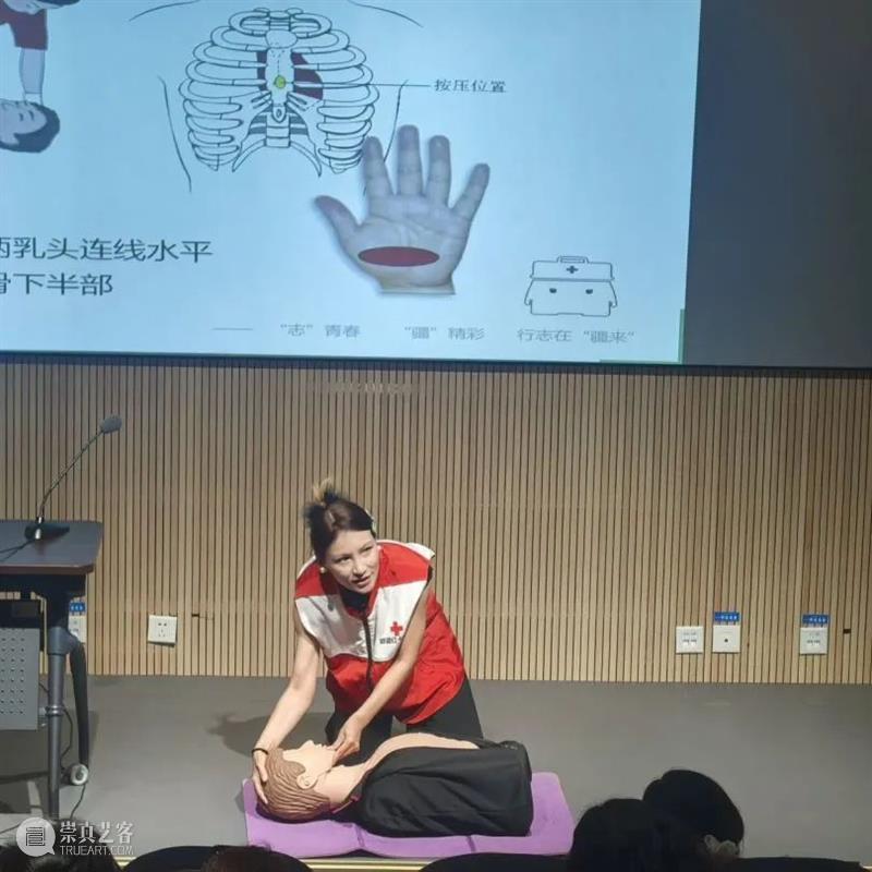 新疆美术馆2025年志愿者培训班圆满结束 崇真艺客