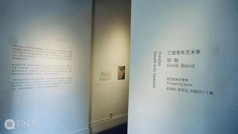 展览开幕 | 《砺·融》三域青年艺术季 崇真艺客