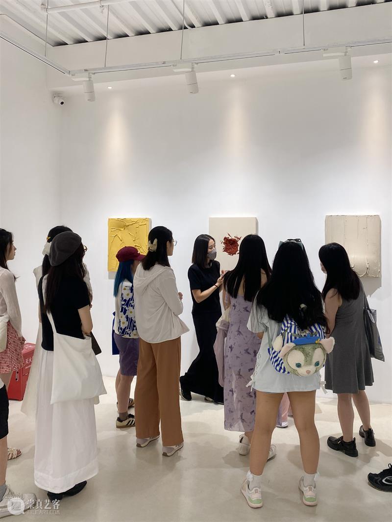 蓝骑士上海｜6月WALKER精致导览现场 探索艺术与诗意的交织 崇真艺客