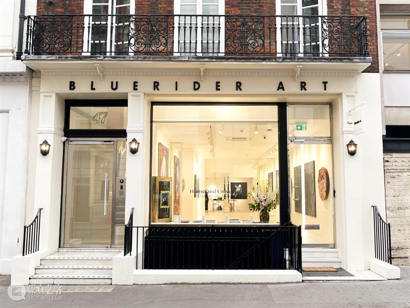 蓝骑士上海｜6月WALKER精致导览现场 探索艺术与诗意的交织 崇真艺客