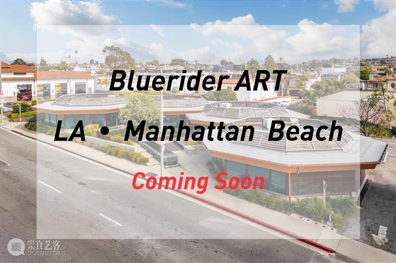 蓝骑士上海｜6月WALKER精致导览现场 探索艺术与诗意的交织 崇真艺客