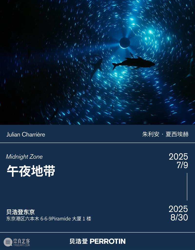 贝浩登东京｜潜入朱利安·夏西埃赫：“午夜地带”的深海遐想 崇真艺客