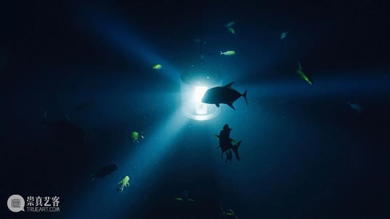 贝浩登东京｜潜入朱利安·夏西埃赫：“午夜地带”的深海遐想 崇真艺客