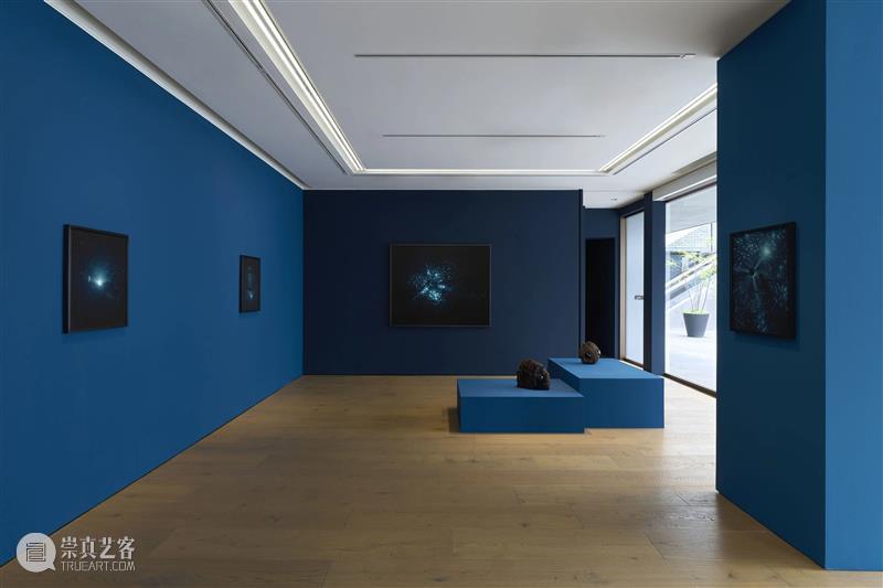 贝浩登东京｜潜入朱利安·夏西埃赫：“午夜地带”的深海遐想 崇真艺客