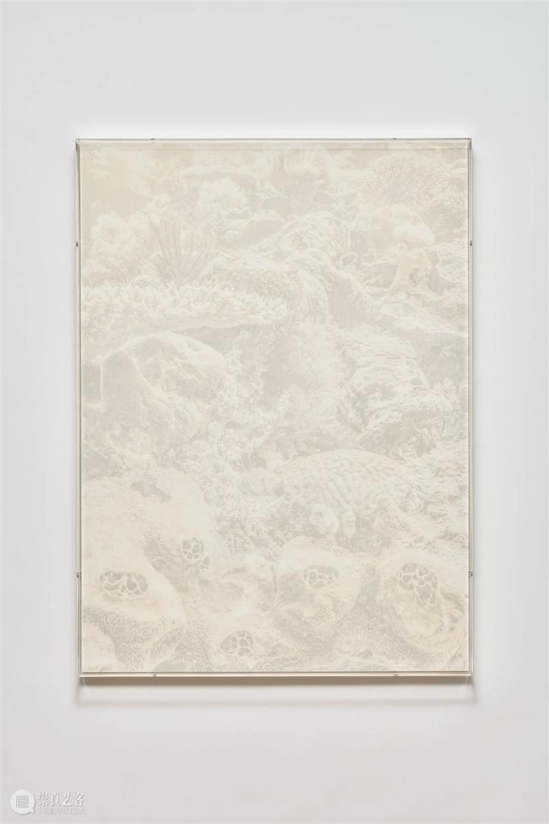 贝浩登东京｜潜入朱利安·夏西埃赫：“午夜地带”的深海遐想 崇真艺客