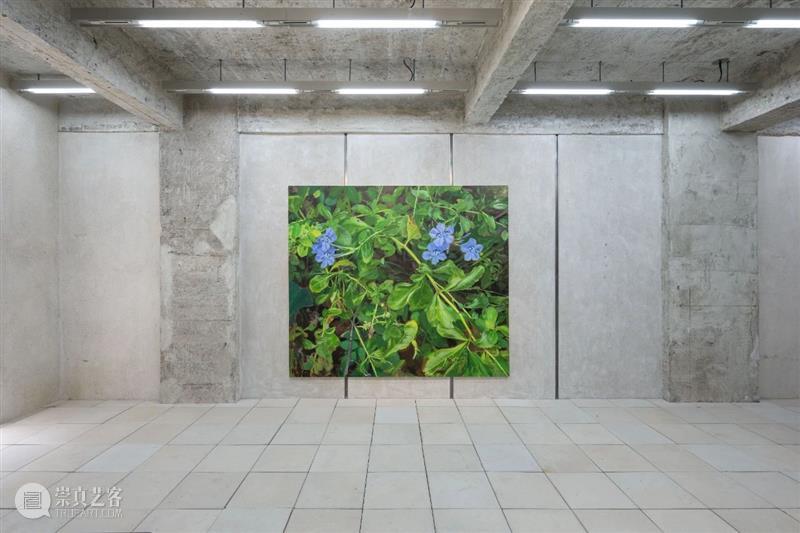 现场丨After H(ours)丨马凌画廊纽约空间 崇真艺客