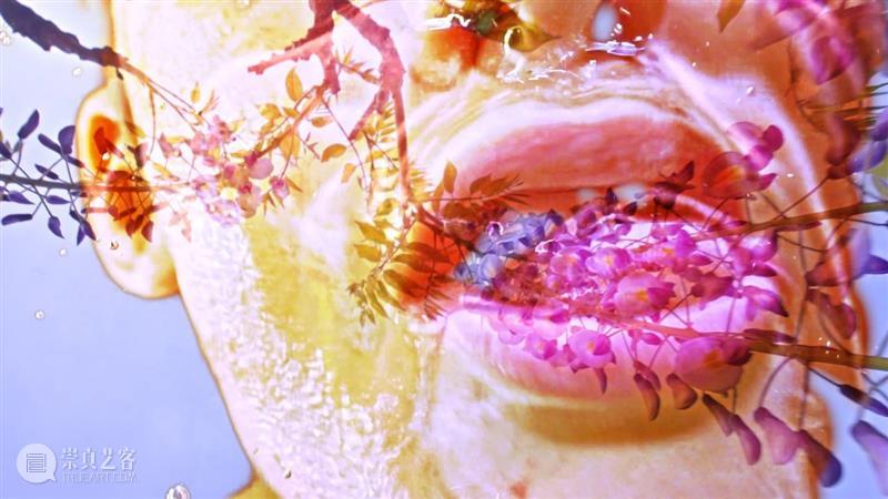 通过影像、声音和语言，来到 “皮皮乐迪·里思特：掌心宇宙”展览系列活动 崇真艺客