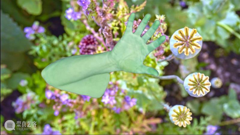 通过影像、声音和语言，来到 “皮皮乐迪·里思特：掌心宇宙”展览系列活动 崇真艺客