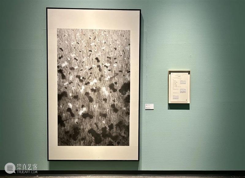 中国当代水墨四十年（1985—2024）正在新疆美术馆待您赴约！ 崇真艺客