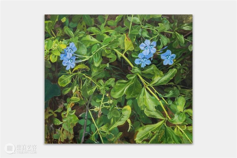 现场丨刘茵：夏丨马凌画廊香港空间 崇真艺客