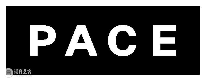 现场｜阿丽佳·柯维德纽约个展「Telos Tales」：宇宙的终极目的与物质的诗性重构 崇真艺客