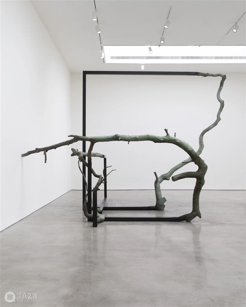 现场｜阿丽佳·柯维德纽约个展「Telos Tales」：宇宙的终极目的与物质的诗性重构 崇真艺客