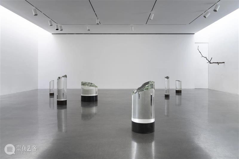 现场｜阿丽佳·柯维德纽约个展「Telos Tales」：宇宙的终极目的与物质的诗性重构 崇真艺客