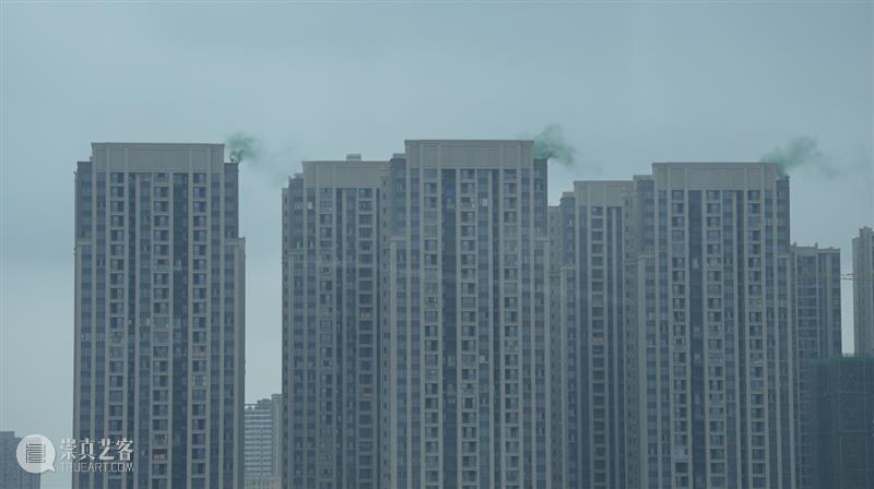 驻留专题1 | 枝桠间：2024-2025四川美术学院青年艺术家驻留计划终期汇报展 崇真艺客