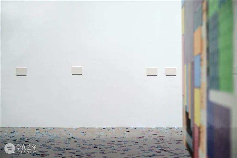 赵要谈“慢慢地展开，然后收起来”｜ARTFORUM采访  钱诗怡 赵要 ARTFORUM 现场 图片 大田 复星 张宏 近期 上海复星艺术中心 题目 崇真艺客