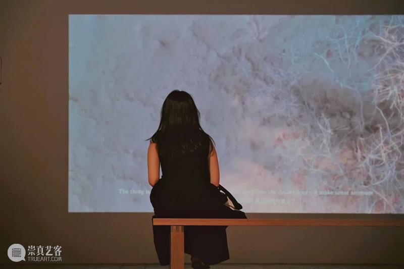 物质转化、时间流变与神话叙事丨UCCA陶美术馆“水底火焰”展览现场 崇真艺客