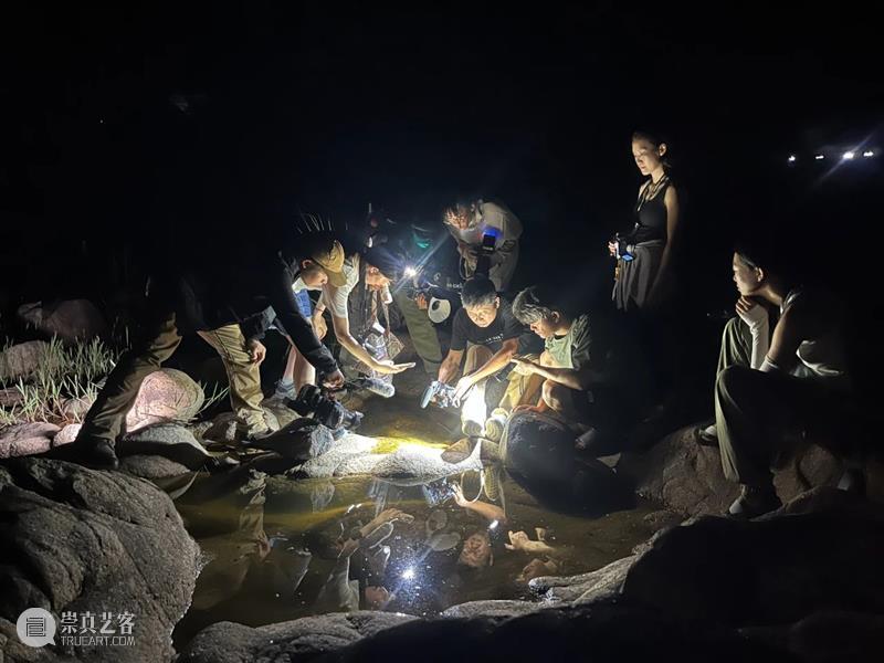 如何温柔地看见自然|“江·瀫”钱塘江爬虫影像考察纪实 崇真艺客