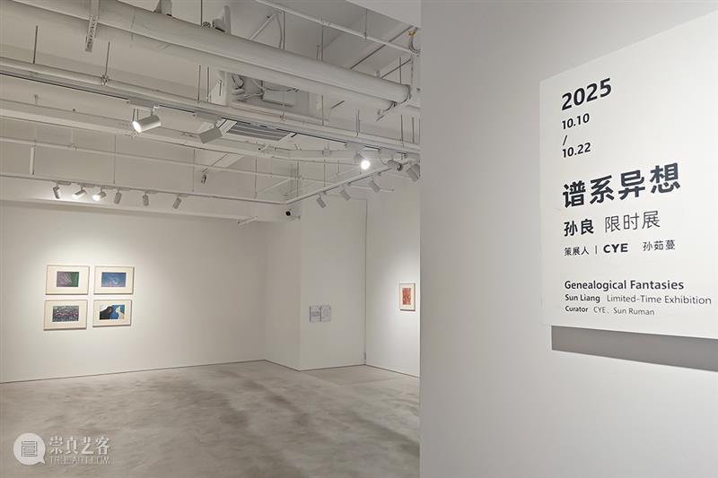 展览回顾｜孙良：谱系异想（限时展Ep.11） 崇真艺客