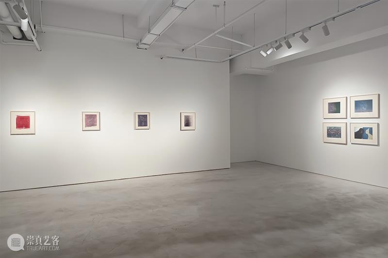 展览回顾｜孙良：谱系异想（限时展Ep.11） 崇真艺客