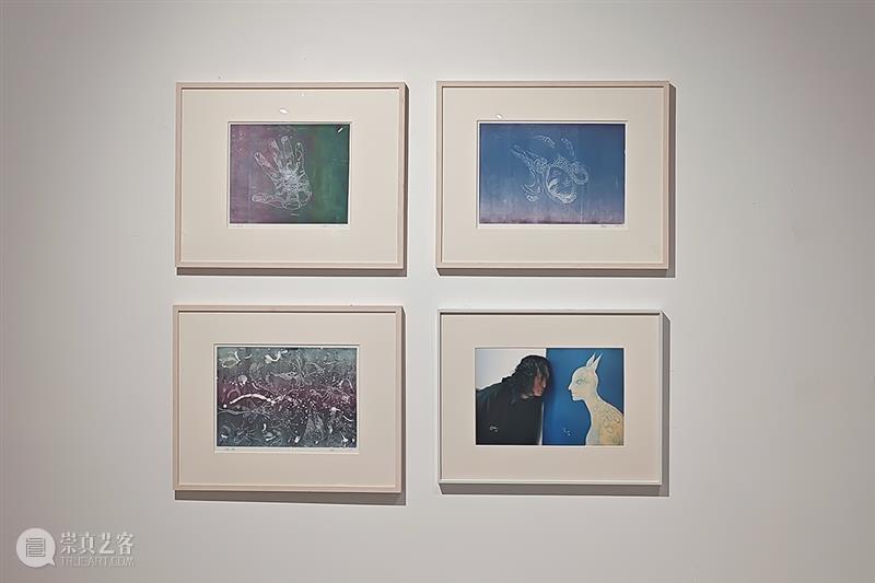 展览回顾｜孙良：谱系异想（限时展Ep.11） 崇真艺客