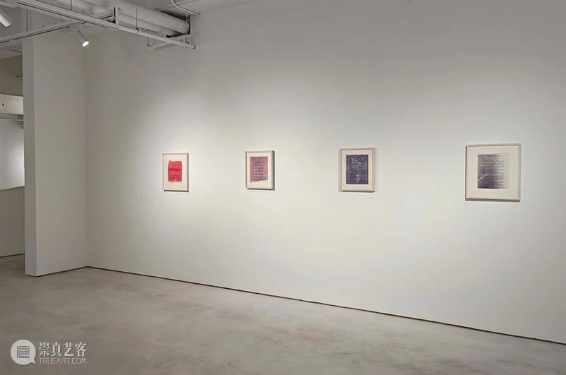 展览回顾｜孙良：谱系异想（限时展Ep.11） 崇真艺客