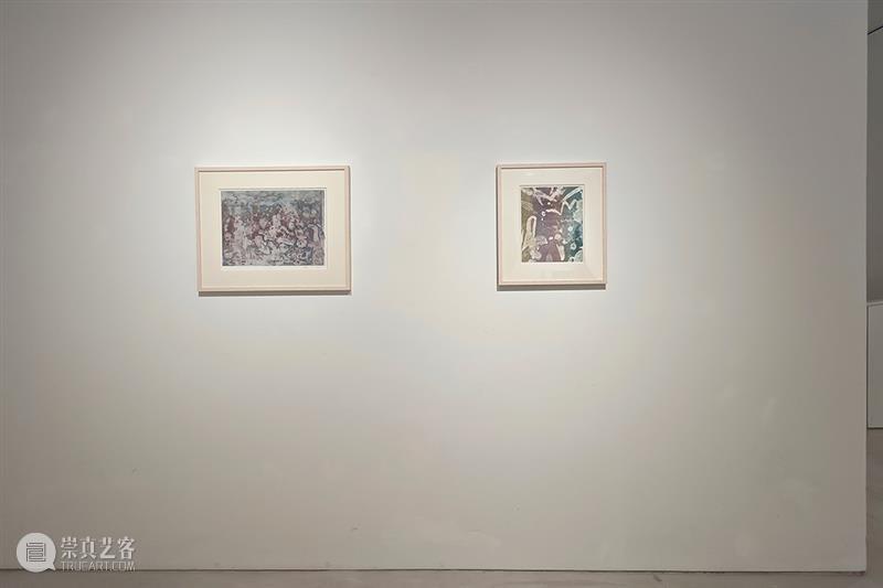 展览回顾｜孙良：谱系异想（限时展Ep.11） 崇真艺客