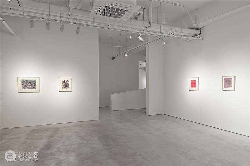 展览回顾｜孙良：谱系异想（限时展Ep.11） 崇真艺客