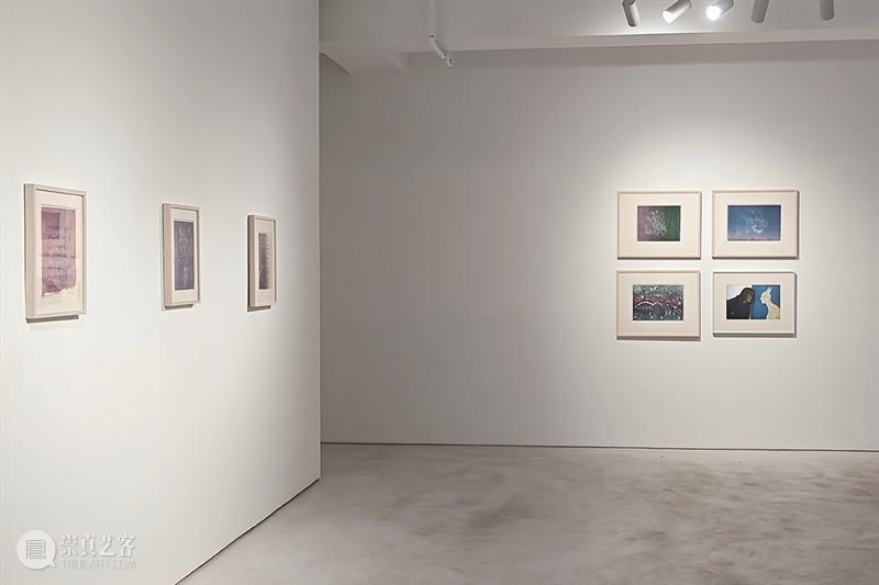 展览回顾｜孙良：谱系异想（限时展Ep.11） 崇真艺客