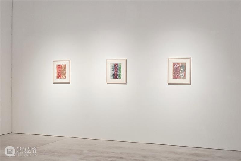 展览回顾｜孙良：谱系异想（限时展Ep.11） 崇真艺客