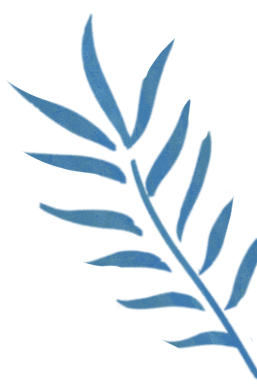 艺时一节 ? 活动招募 ||立冬闭藏，造纸为函 崇真艺客