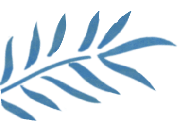 艺时一节 ? 活动招募 ||立冬闭藏，造纸为函 崇真艺客