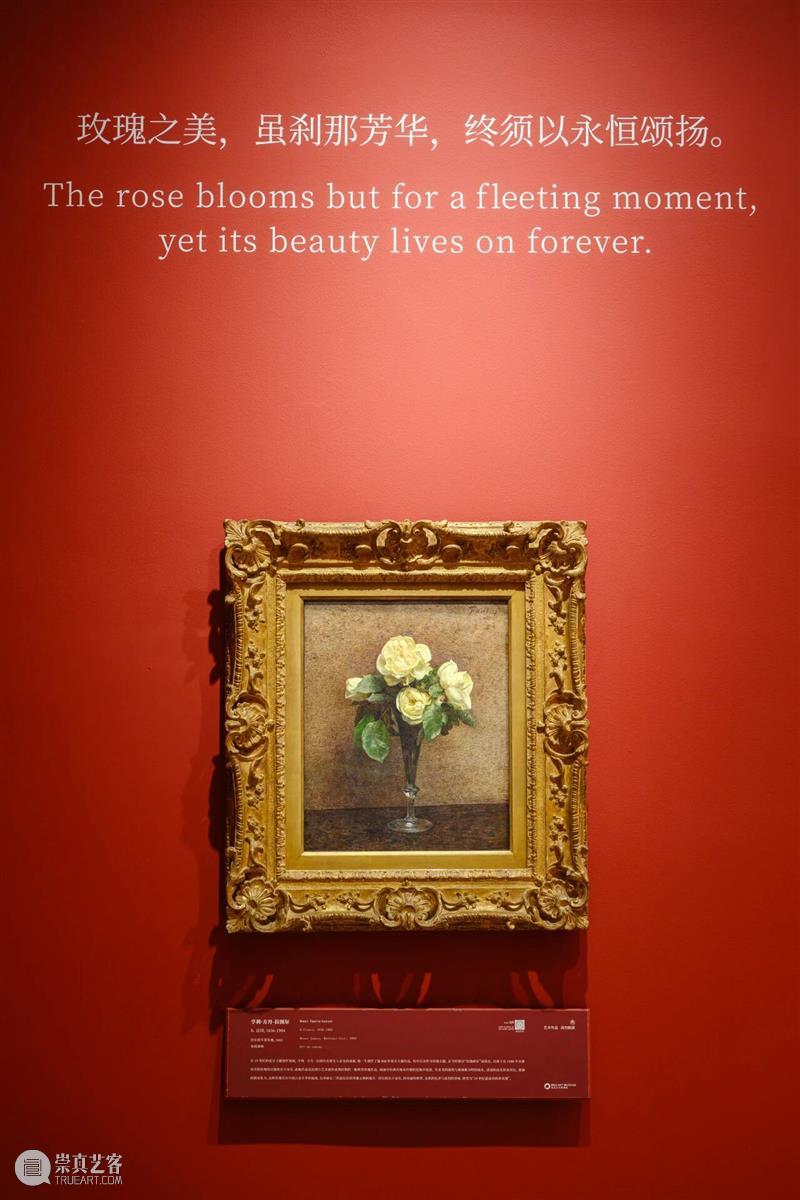 “动静无尽：馆藏花卉主题艺术杰作”展览四大章节叙事全串联！  德基艺术博物馆 崇真艺客