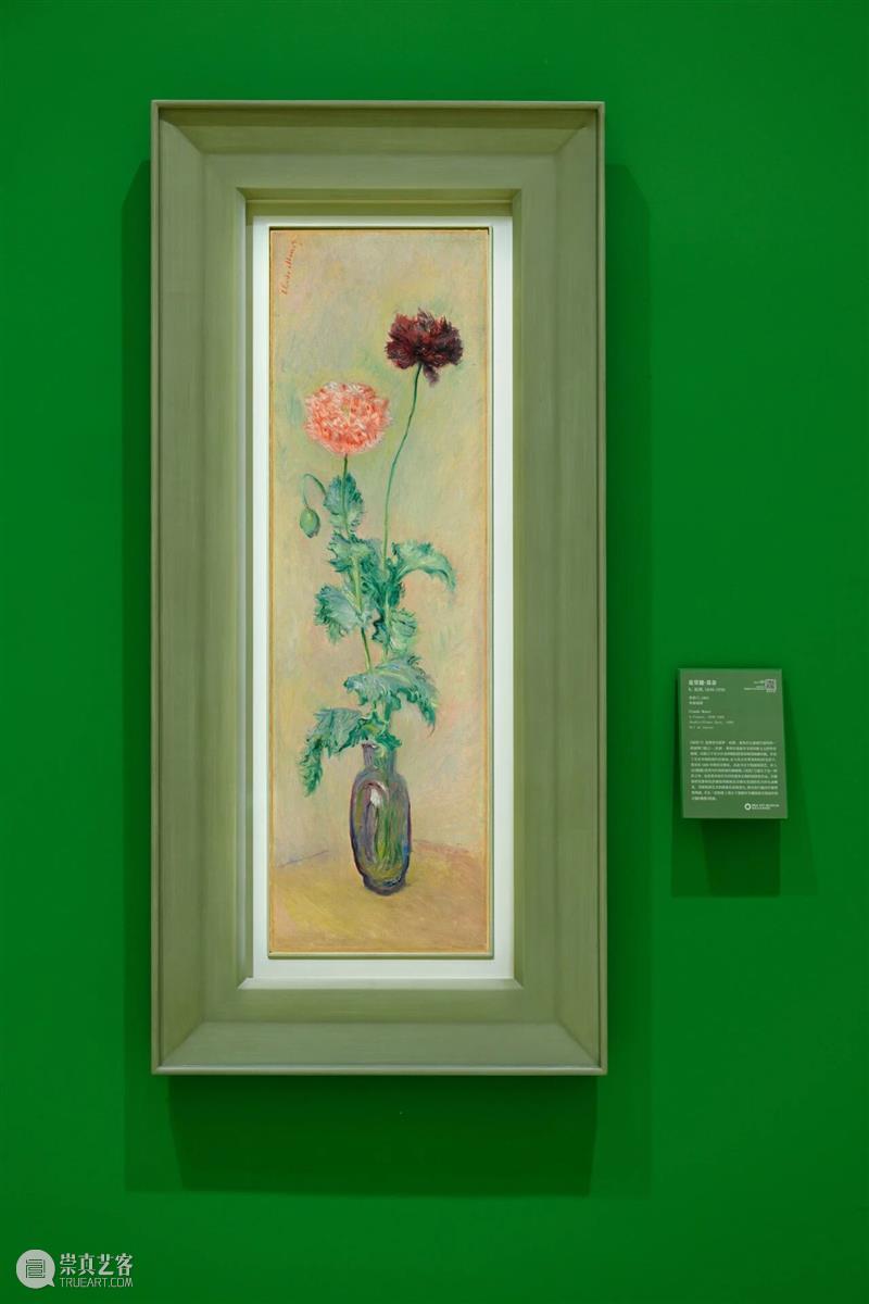 “动静无尽：馆藏花卉主题艺术杰作”展览四大章节叙事全串联！  德基艺术博物馆 崇真艺客